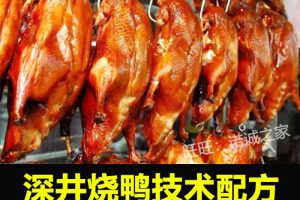正宗广式烧鸭技术配方教程广东烧腊烧鹅制作视频教学创业开店商用
