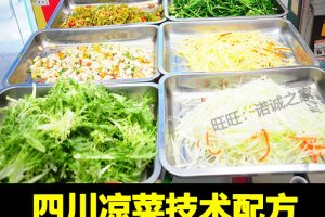 正宗四川凉拌菜技术配方教程自选凉菜调料小吃制作技术教程商用