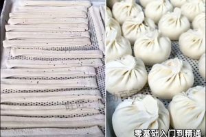 冷冻速冻生胚包子技术配方教程冷冻速冻油条制作技术配方教程商用