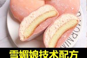 网红私房雪媚娘技术配方教程蛋糕冰淇淋流心制作技术视频教学商用