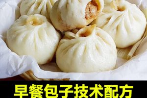 早餐包子技术配方教程发面调馅料早点灌汤包小吃制作技术培训商用
