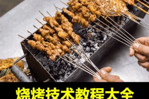 烧烤技术配方教程大全秘制调料腌制羊肉串撒料酱料制作技术商用