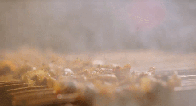 锦州烧烤的做法和制作教程，正宗技术培训教程配方全套教学视频插图