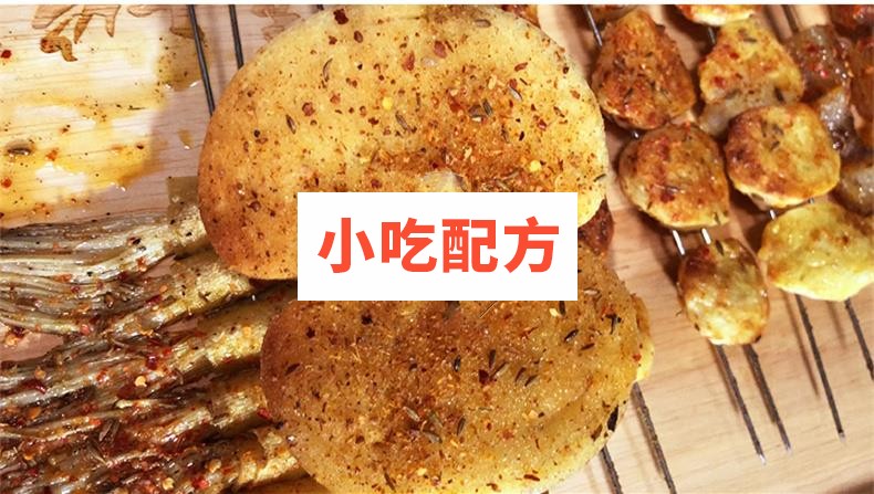 烧烤大排档全套技术视频教学资料 小吃技术联盟配方资料插图4