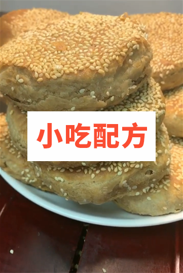 快手原哥 正宗单县羊肉汤技术【视频教程】插图4