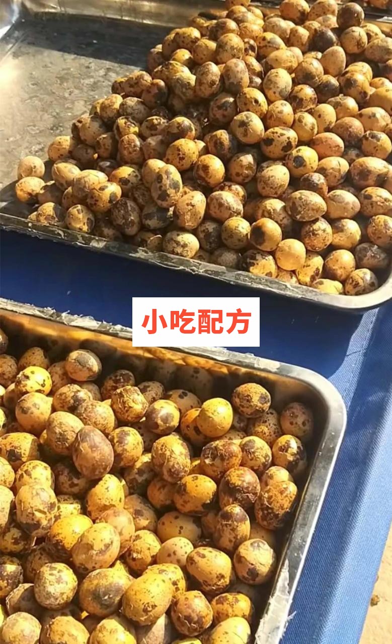 老北京熏鸟蛋技术配方视频教程 小吃技术联盟配方资料插图1