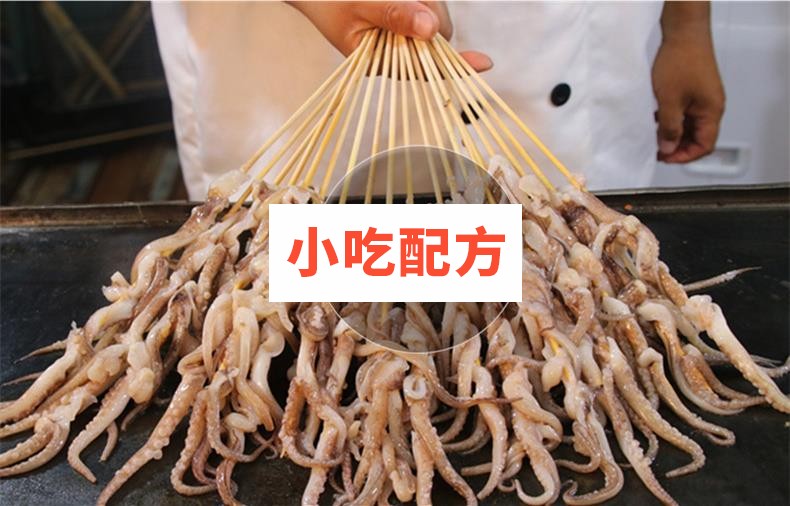 铁板鱿鱼技术配方视频教学资料 小吃技术联盟配方资料插图